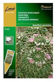 Mamilārijas sēklas Lucia Elite