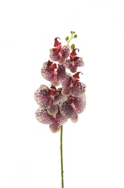 KUNSTLIK ORHIDEE 72 CM 80-356901