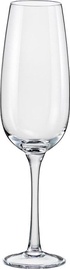 Bohemia Champagne Glass Emma 260ml 140302