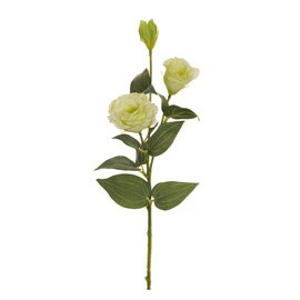 Dirbtinė gėlė, eustoma, balta, 71 cm