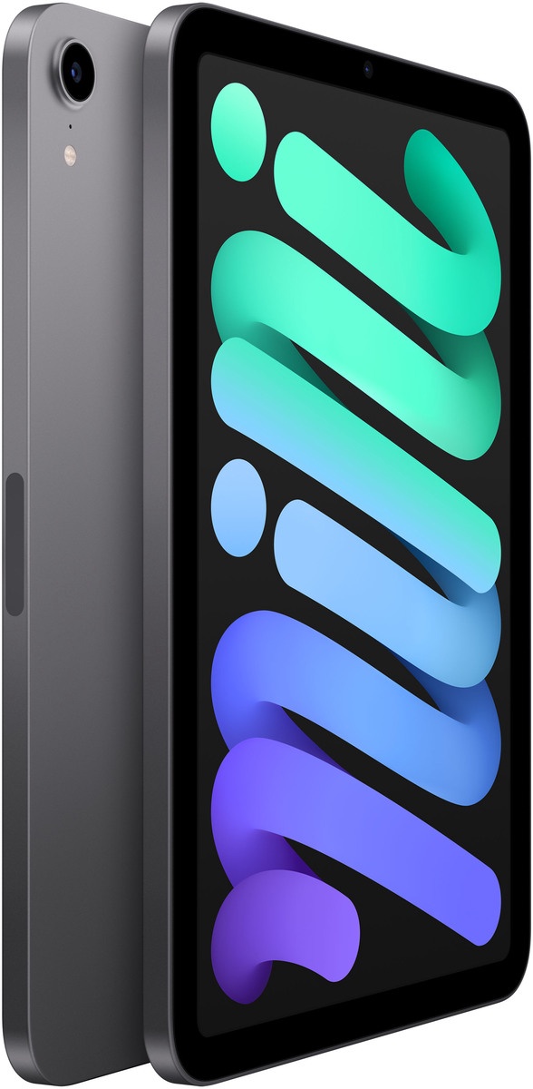 Tahvelarvuti Apple iPad Mini Wi-Fi 64GB Space Gray 2021