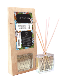 MĀJAS SMARŽU GINGERBREAD 100ML LV