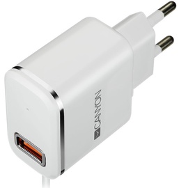 Canyon Apple Lightning Wall Charger With USB Plug White/Silver
