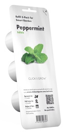 Išmanios daigyklos sėklos Click & Grow Smart Home Peppermint, 3 vnt.