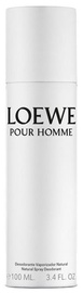 Vīriešu dezodorants Loewe Pour Homme White, 100 ml