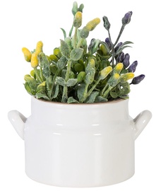 Home4you Plant In Pot In Garden H12cm White Ceramic