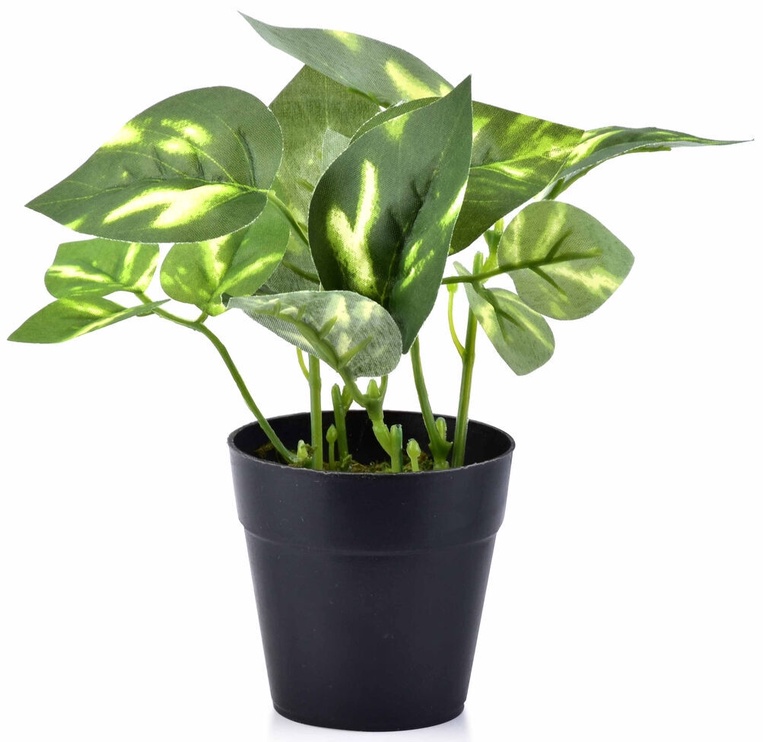 Искусственное растение в горшке Mondex, зеленый, 16 см