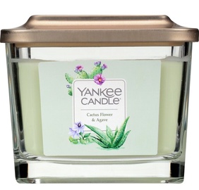 Yankee Candles Elevation Collection Cactus Flower & Agave Candle 347g
