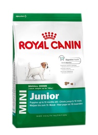 Sausas ėdalas šunims Royal Canin Mini Junior, 800 gr