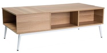 Signal Meble Arras Coffee Table Oak