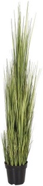 Home4you Bouquet Herbarium With Pot In Garden H122cm Natural Green 83827