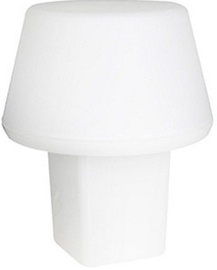 Nino Stamp White