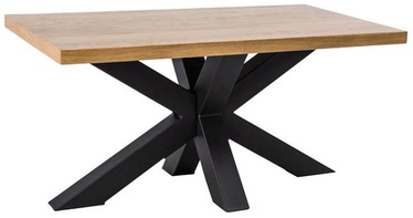 Kavos staliukas Signal Meble Cross B Oak/Black, 1100x530x600 mm