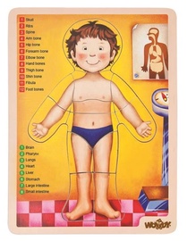 Woodyland Educational Puzzle Human Body 13pcs 90332
