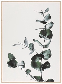 Картина 4Living Eucalyptus 10564345, 500 мм x 700 мм