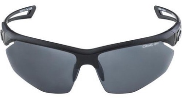 Saulesbrilles sporta Alpina Sports Nylos HR CM