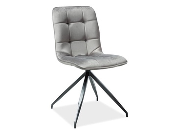 Стул для столовой Signal Meble Texo Velvet Grey, 1 шт.