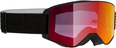Солнцезащитные очки Alpina Narkoja MM M40