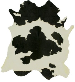 Kažoks Home4you Cowhide, 1700 mm x 1600 mm