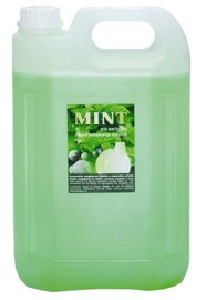 Средство для мытья посуды Reneva Mint, 5 л