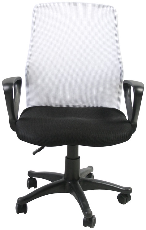 Офисный стул Treviso, 5.8 x 59 x 90 - 102 см, белый/черный