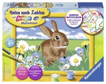 Ravensburger Painting By Numbers Sweet Rabbit 280643