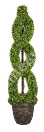 Home4you Buxus Green Plant In Pot H150cm Green