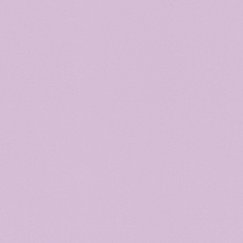 Viniliniai tapetai Rasch Selection 518009