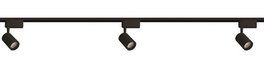 Светильник настенный Light Prestige Leon LP-1919/1W BK Set, 7 Вт, LED
