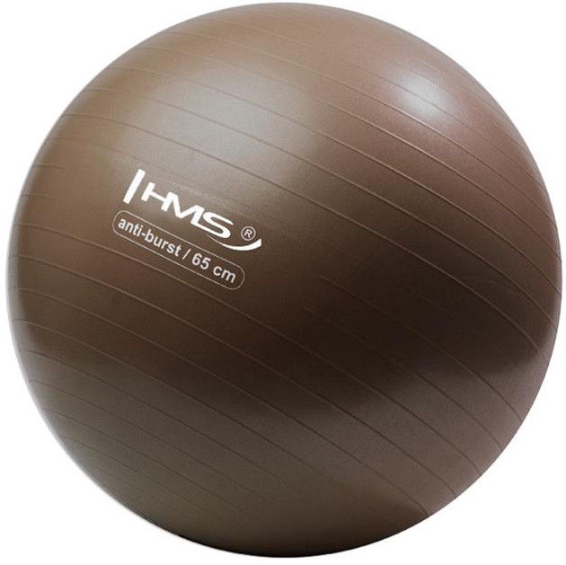 Гимнастический мяч HMS, коричневый, 65 см