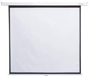 4World Wall Projector Screen 178x178 99"