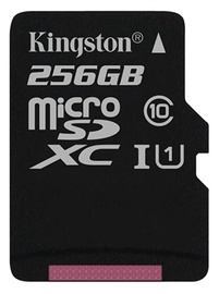 Kingston Canvas Select 256GB microSDXC UHS-I Class 10