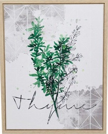 Home4you Print Picture Nature 40x50cm Thyme