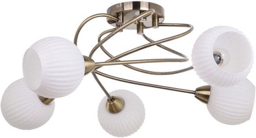 Verners 148259 RIBERO Brass