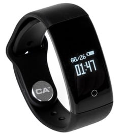 California Access Verve CA-2100