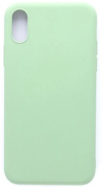 Evelatus Soft Silicone Back Case For Apple iPhone X/XS Mint