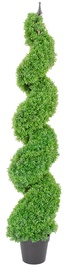 Home4you Boxwood Artificial Plant H150cm Green