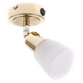 Verners Spotlight SIMPLE 5040-1A/GO Gold