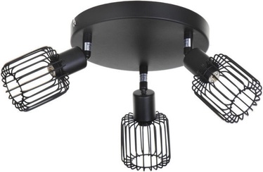 ActiveJet Lara Ceiling Lamp 3x40W G9