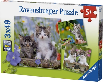 Dėlionės komplektas Ravensburger Kittens 080465