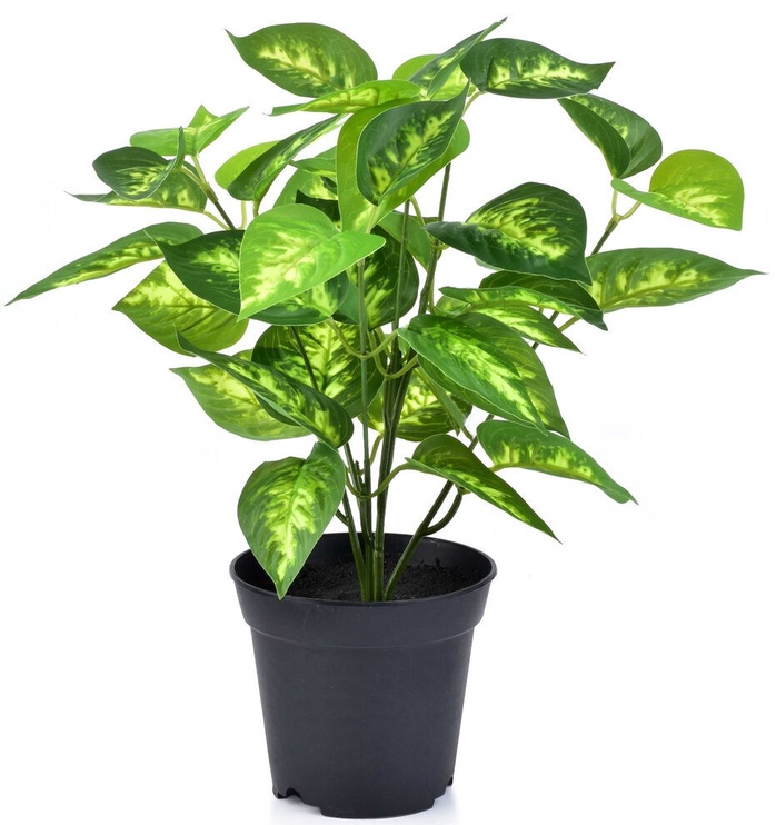 Искусственное растение в горшке Mondex, зеленый, 37 см