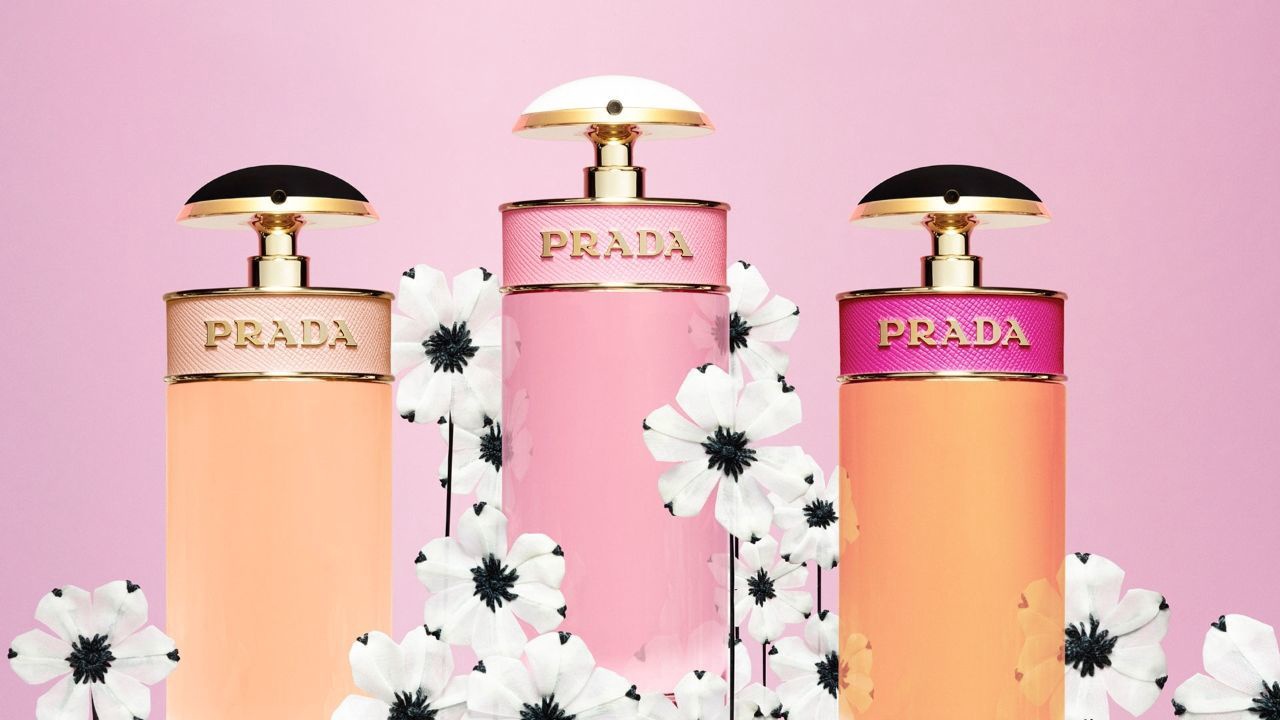 prada candy sugar pop pantip