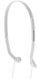 Ausinės Koss KPH14 White