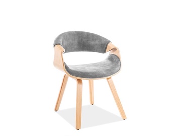 Стул для столовой Signal Meble Dakota Velvet Grey/Oak