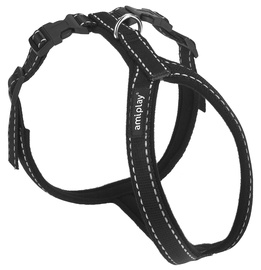 KOERTE TRAKSID AMIPLAY M
