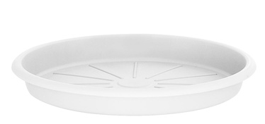 Puķu poda šķīvis Domoletti STTE0040-110, balta, 400 mm