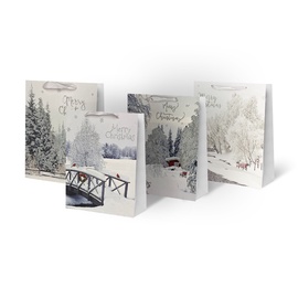 Christmas Gift Bag 31x12x40cm SCW242-ABCD-L