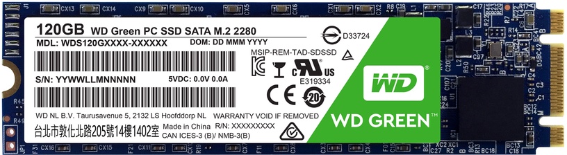 Kietasis diskas (SSD) Western Digital Green WDS120G1G0B, M.2, 120 GB