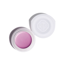 Shiseido Paperlight Cream Eye Color 6g VI304