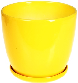Polnix 02.446.17 Yellow